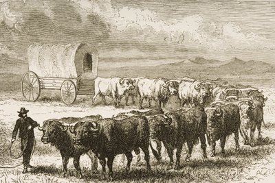 Un carro di buoi attraversa le Grandi Pianure tra St. Louis e Denver, c.1870, da 